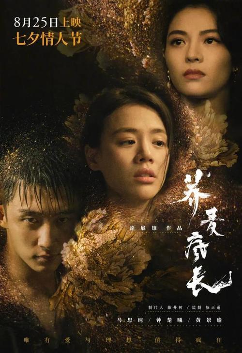 台湾长庚大学文凭毕业证怎么买高仿